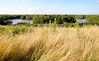 Geeste Speichersee Biotop