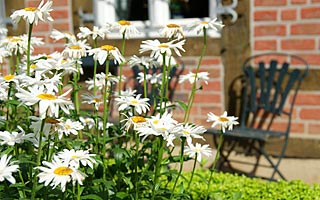 Haselünne Heimatmuseum