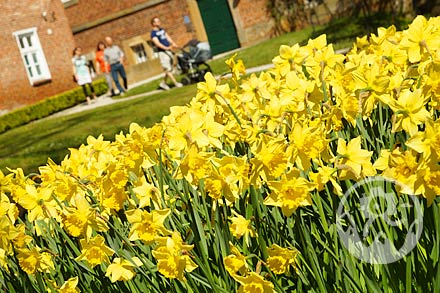 Aschendorf Altenkamp