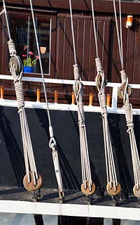 Papenburg Friederike