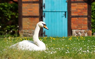 Hümmling Sögel Heimathof