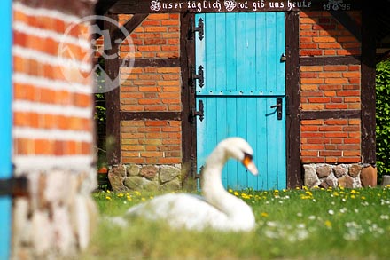 Hümmling Sögel Heimathof