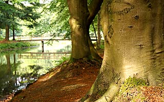 Hümmling Jagdschloss Clemenswerth Emslandmuseum