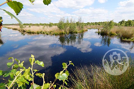 Geeste Dalum Geestmoor