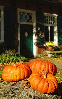 Spätsommer im Emsland